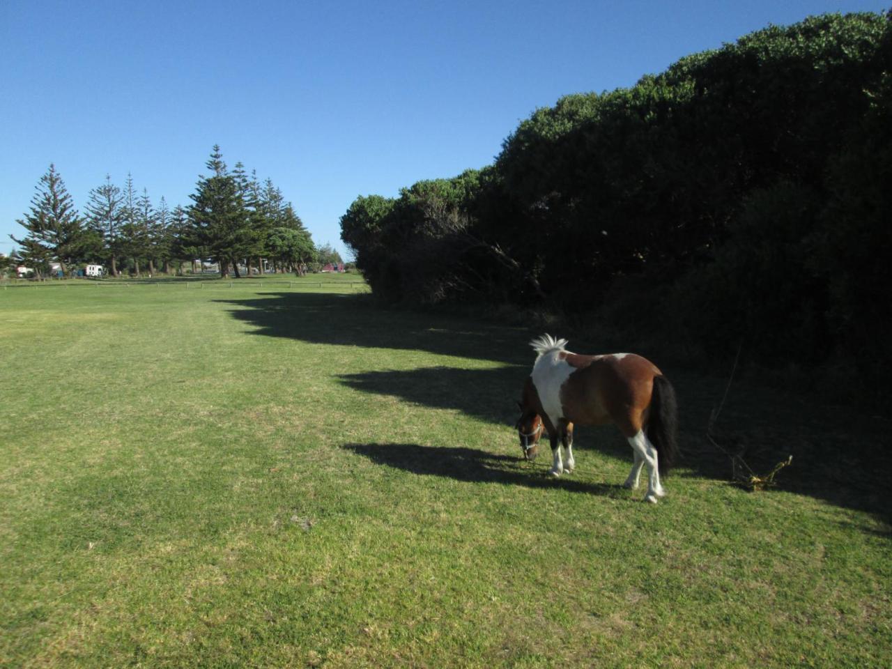 Monday Seaside Cottage Whanganui Eksteriør bilde